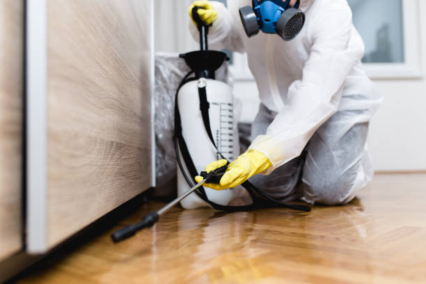 Best Cockroach Control Services  in Ironton, OH