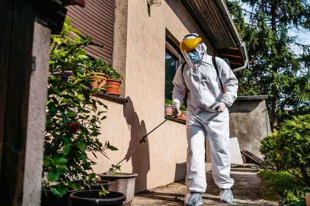 Best Emergency Pest Control  in Ironton, OH