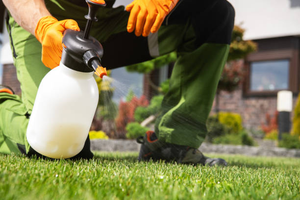 Best Wildlife Control Services  in Ironton, OH