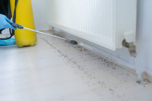 Best Pest Inspection Near Me  in Ironton, OH